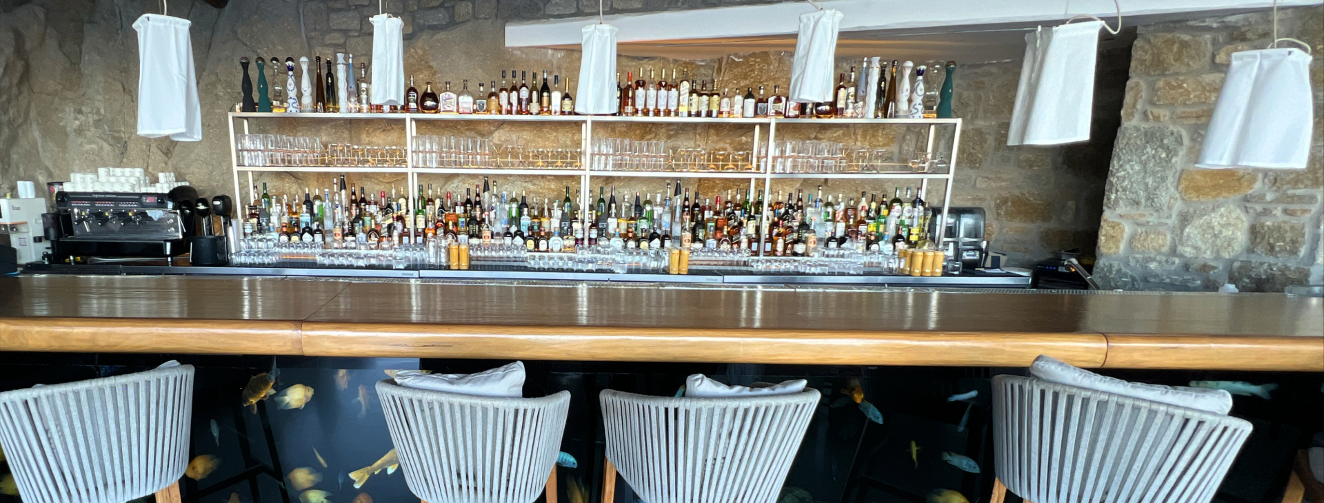 XENEX_CAVO TAGOO (1)