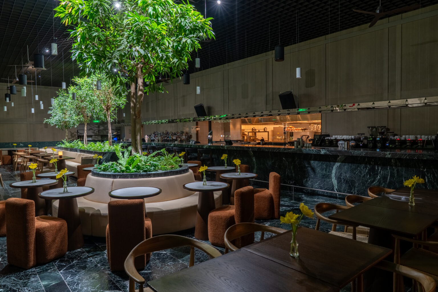 yiamouris_AY58793-HDR